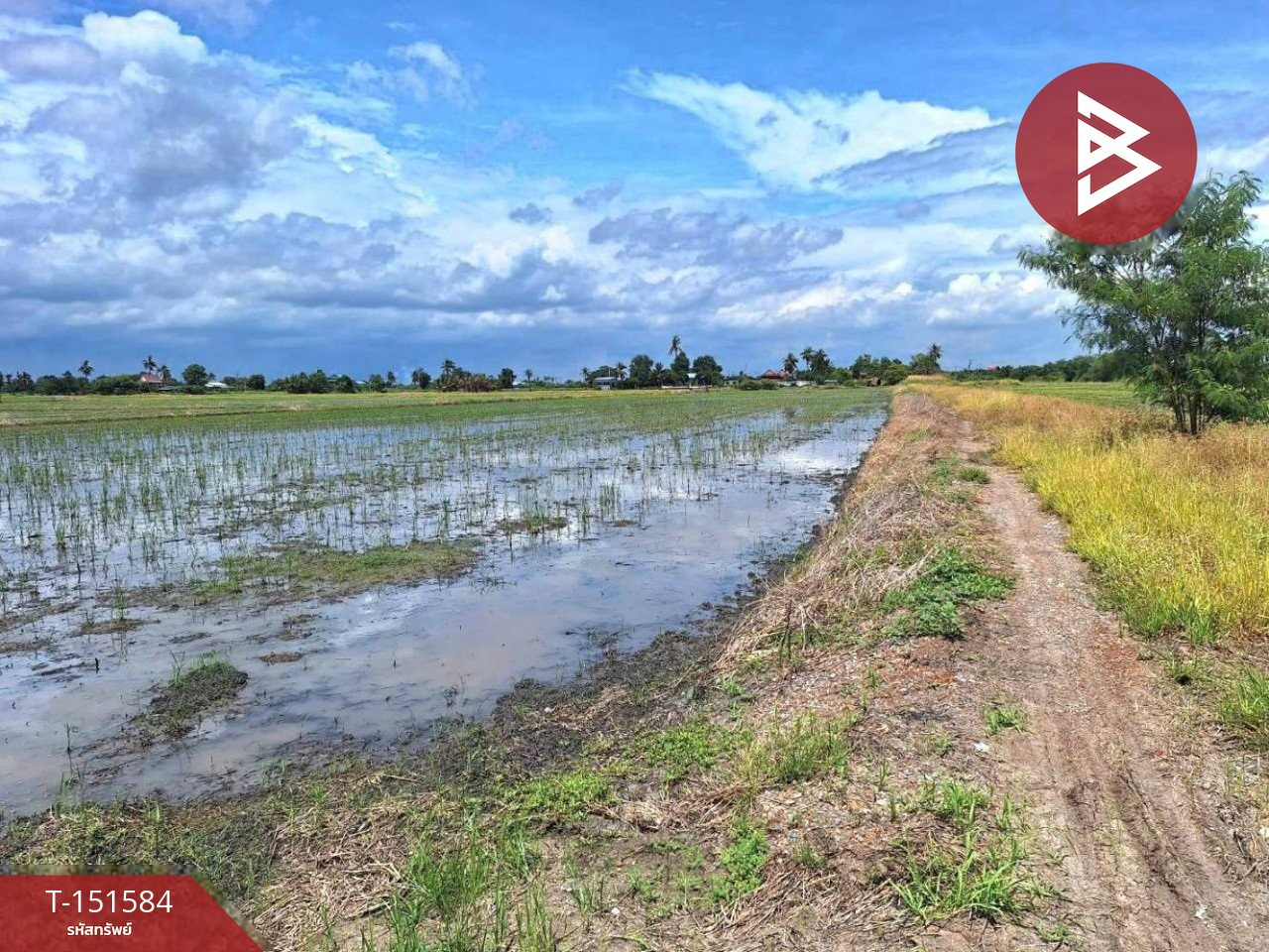 ขายที่ดิน เนื้อที่ 4 ไร่ โคกโคเฒ่า สุพรรณบุรี