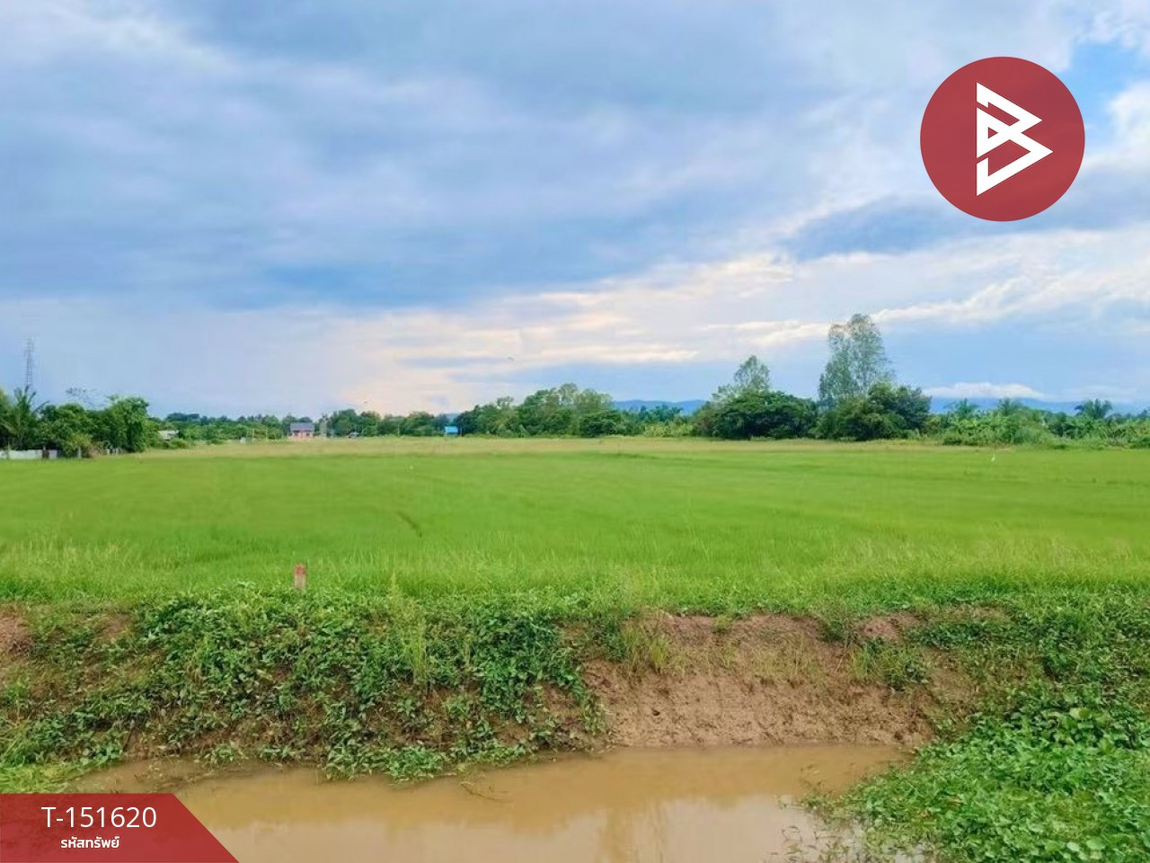 ขายที่ดิน เนื้อที่ 2 ไร่ 2 งาน บ้านเกาะ อุตรดิตถ์