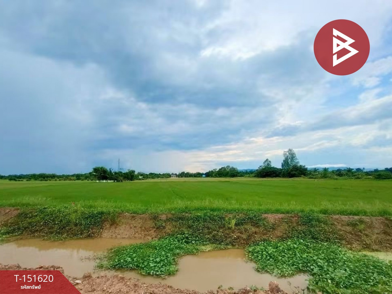 ขายที่ดิน เนื้อที่ 2 ไร่ 2 งาน บ้านเกาะ อุตรดิตถ์