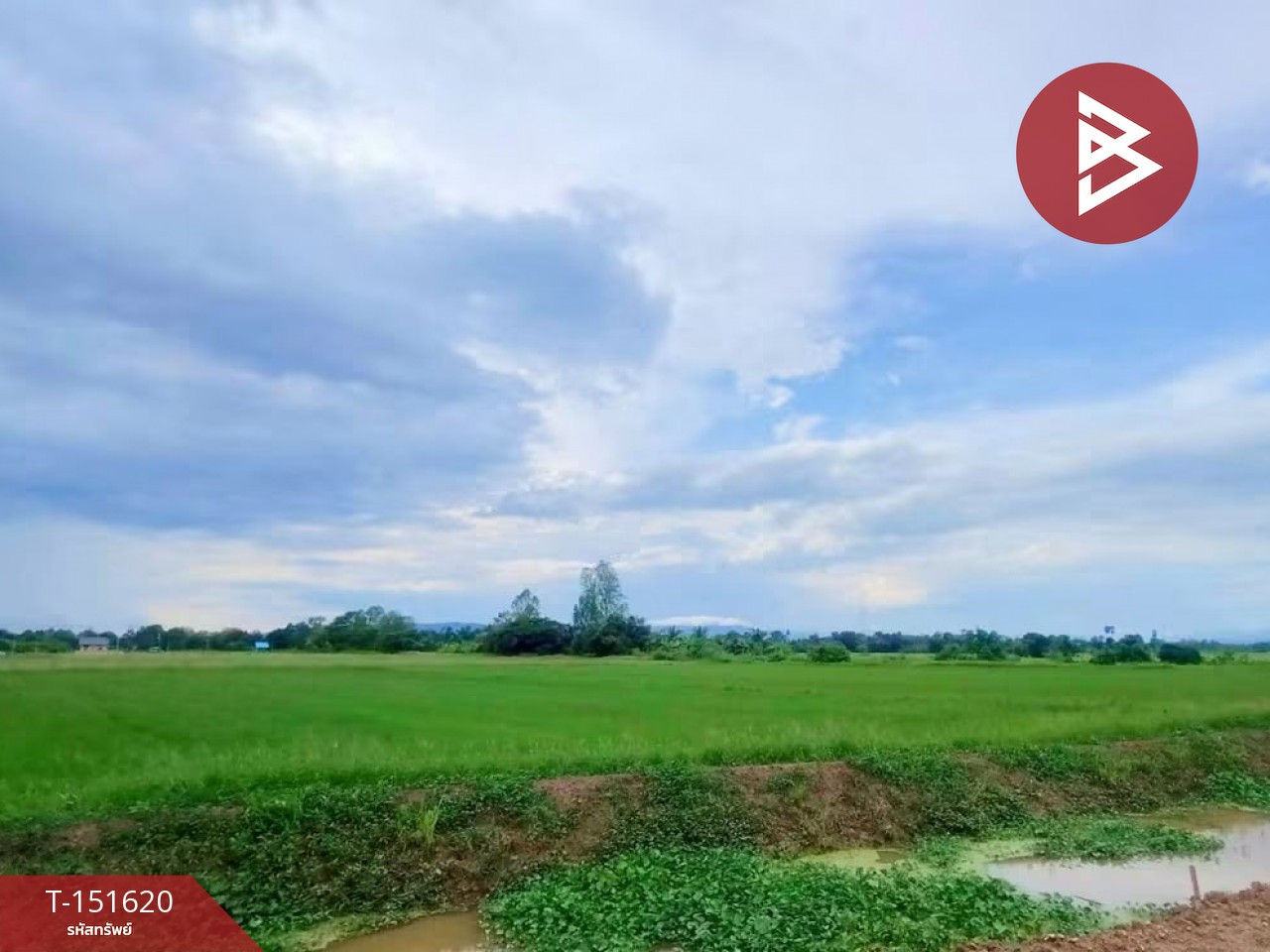 ขายที่ดิน เนื้อที่ 2 ไร่ 2 งาน บ้านเกาะ อุตรดิตถ์