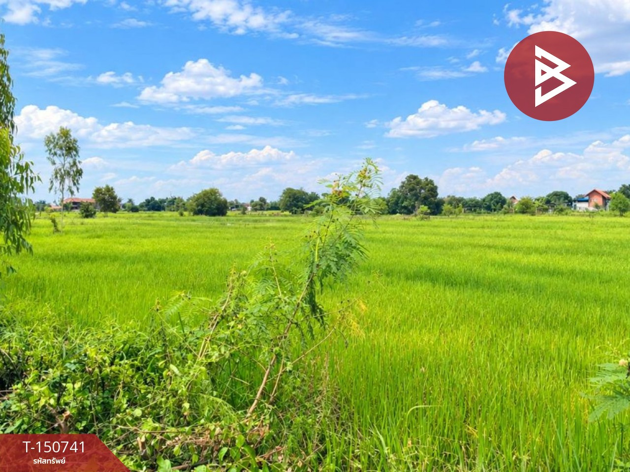 ขายที่ดิน เนื้อที่ 3 ไร่ 1 งาน 33.7 ตร.วา ธาตุพนม นครพนม