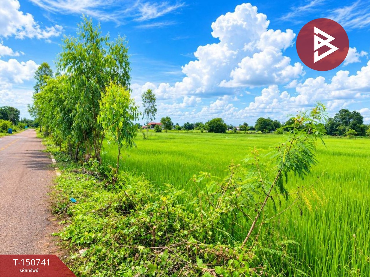 ขายที่ดิน เนื้อที่ 3 ไร่ 1 งาน 33.7 ตร.วา ธาตุพนม นครพนม