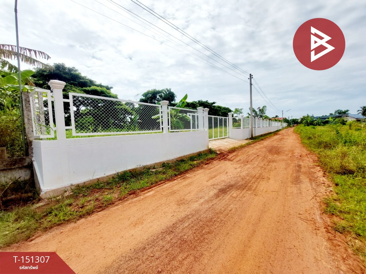 ขายที่ดิน เนื้อที่ 1 งาน โพนพิสัย หนองคาย