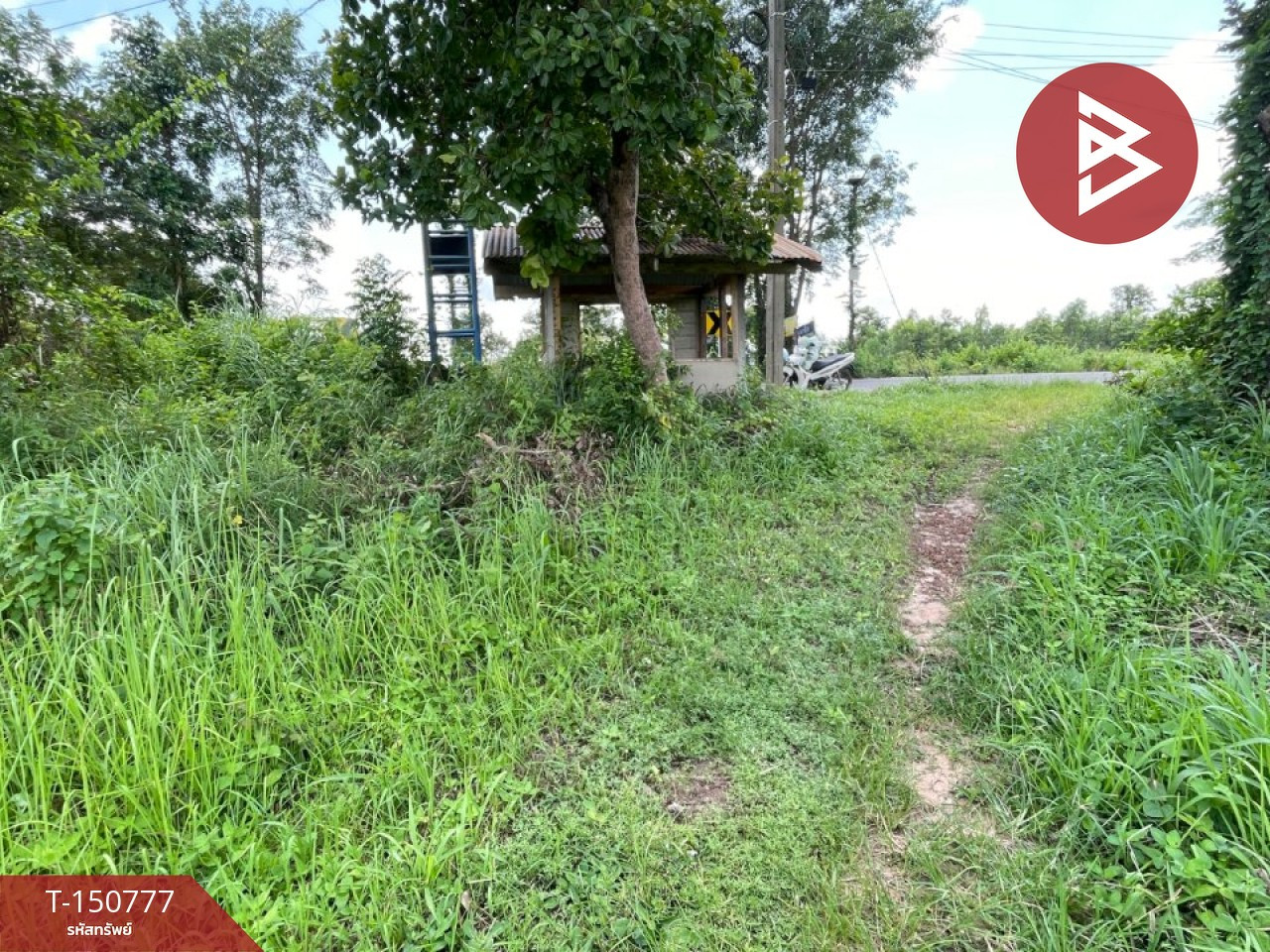 ขายที่ดิน เนื้อที่ 5 ไร่ นายม อำนาจเจริญ