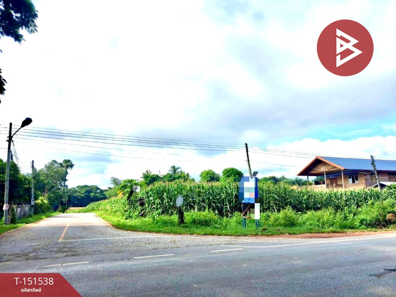 ขายที่ดิน เนื้อที่ 2 งาน ป่าเซ่า อุตรดิตถ์