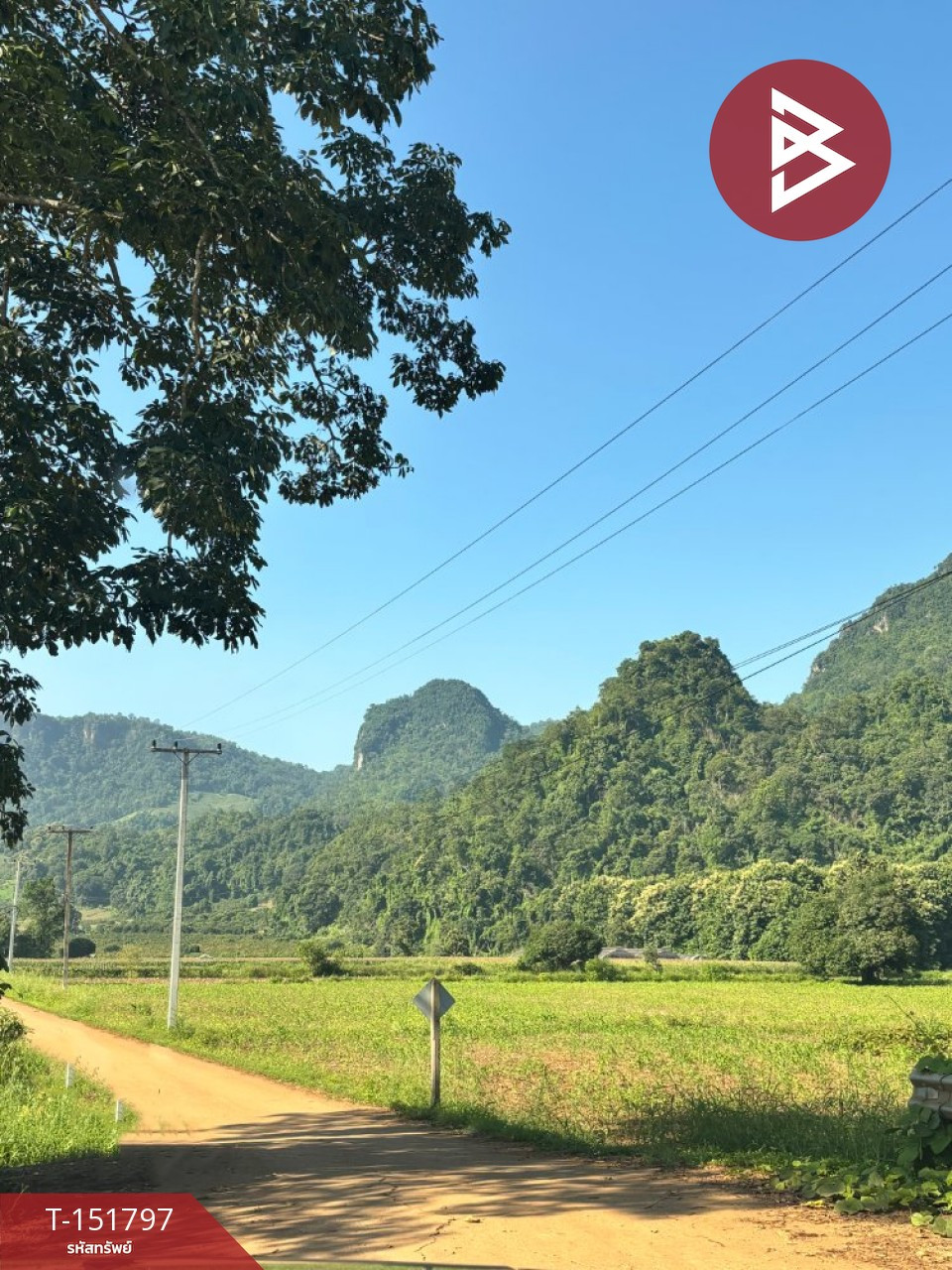 ขายที่ดิน เนื้อที่ 1 ไร่ 56.1 ตร.วา เชียงดาว เชียงใหม่