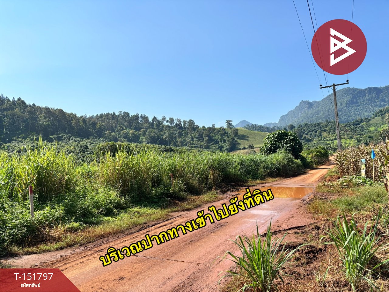 ขายที่ดิน เนื้อที่ 1 ไร่ 56.1 ตร.วา เชียงดาว เชียงใหม่