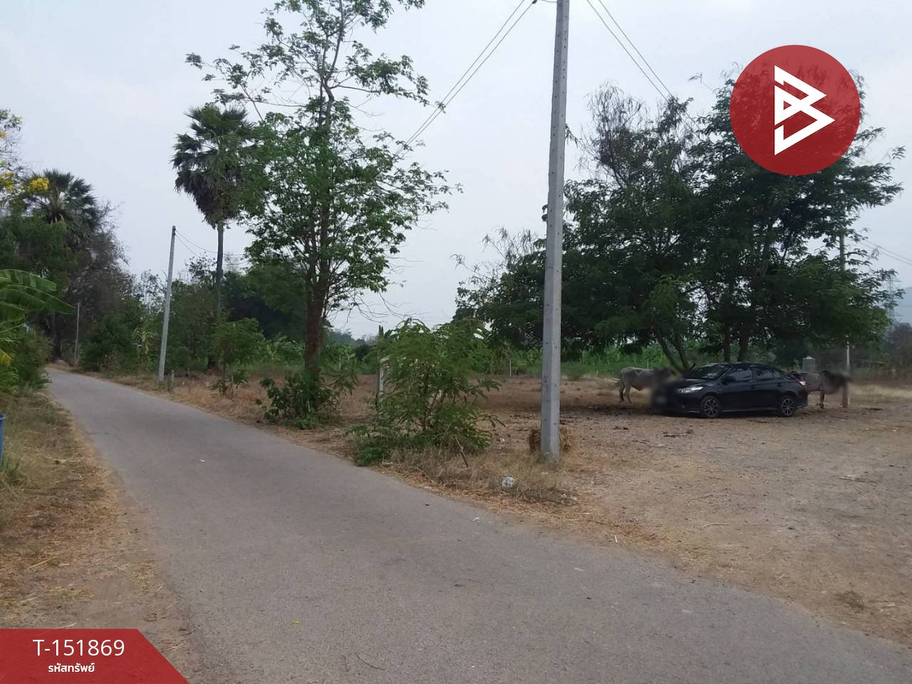 ขายที่ดิน เนื้อที่ 3 งาน ปากท่อ ราชบุรี