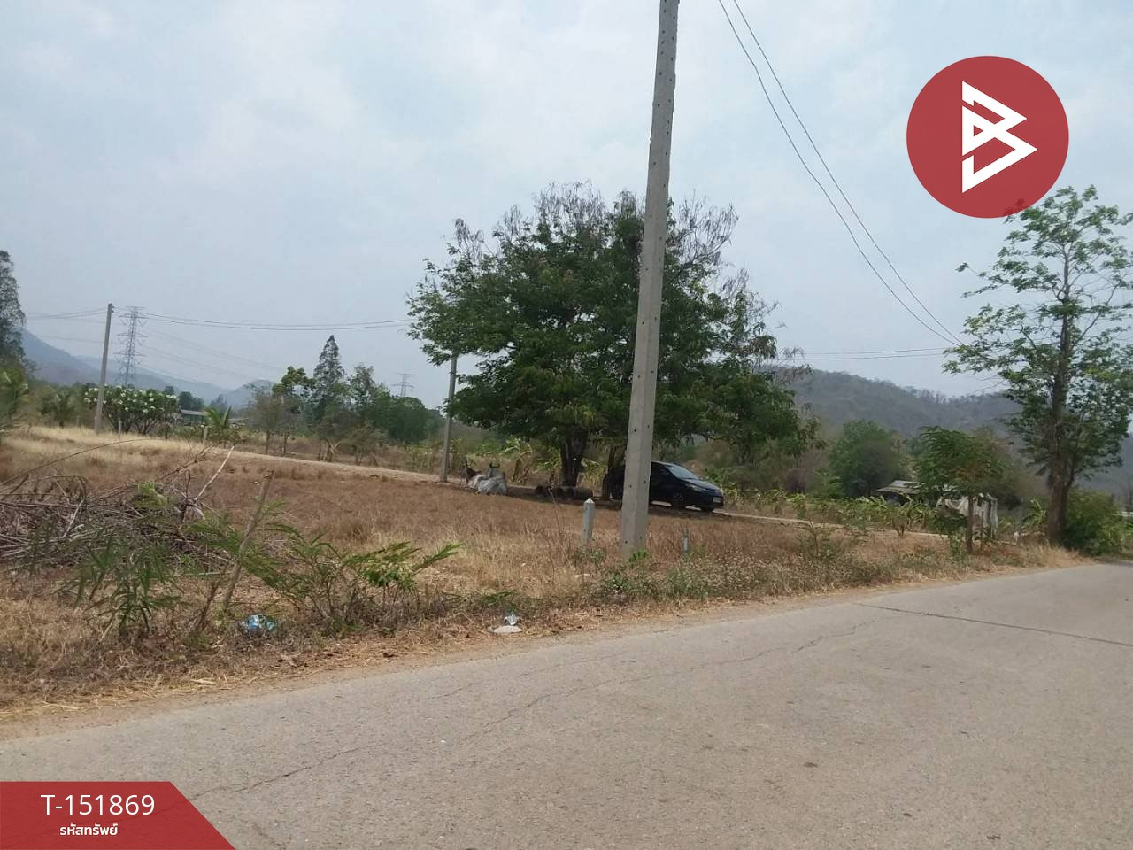 ขายที่ดิน เนื้อที่ 3 งาน ปากท่อ ราชบุรี