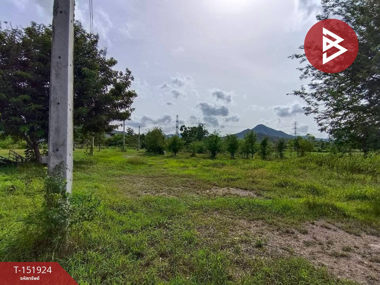 ขายที่ดิน เนื้อที่ 2 งาน 63.3 ตร.วา ปากท่อ ราชบุรี