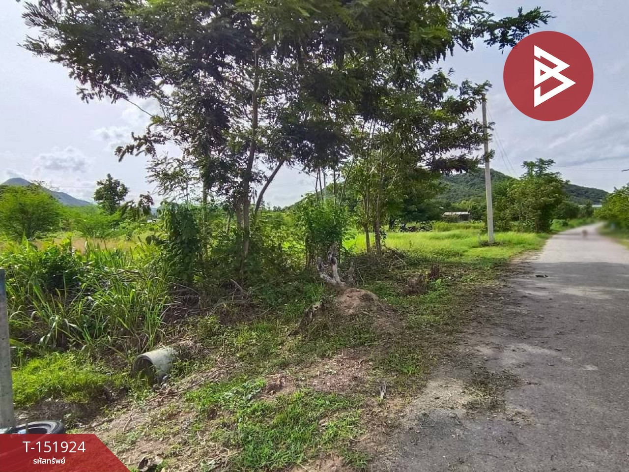 ขายที่ดิน เนื้อที่ 2 งาน 63.3 ตร.วา ปากท่อ ราชบุรี