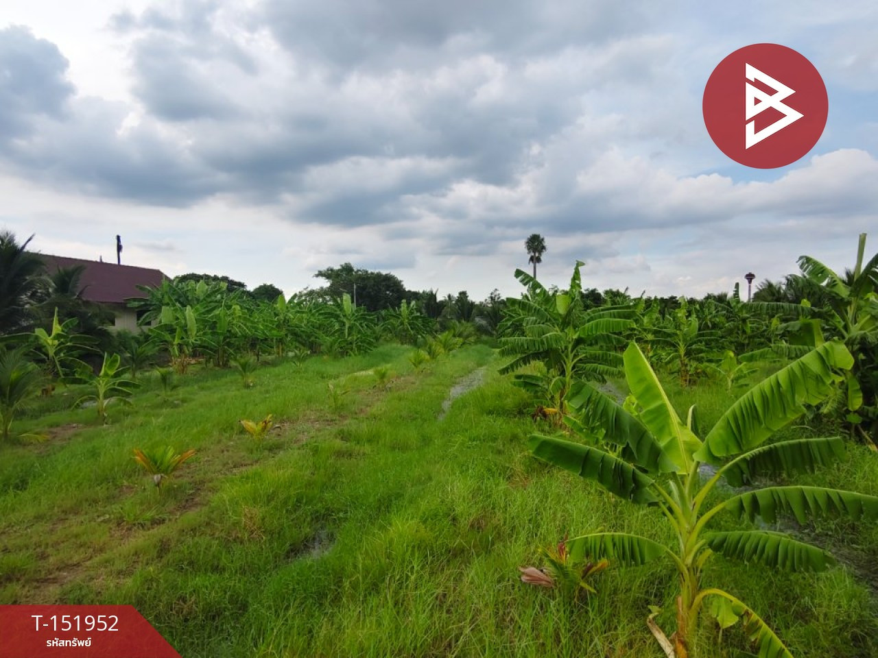 ขายที่ดิน เนื้อที่ 5 ไร่ 9 ตร.วา นครชัยศรี นครปฐม