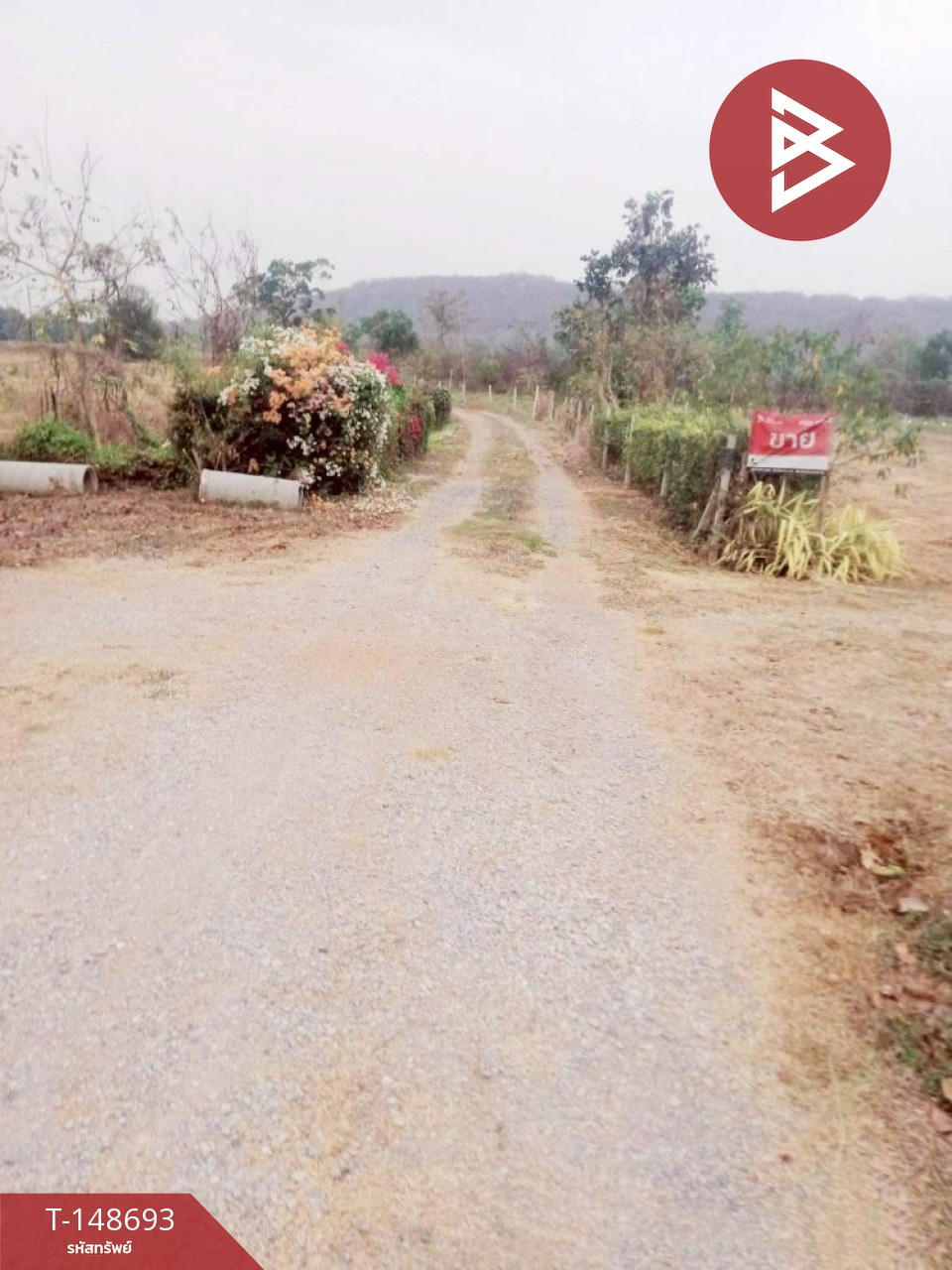 ขายที่ดิน เนื้อที่ 3 ไร่ 16.2 ตร.วา หนองปลาไหล สระบุรี