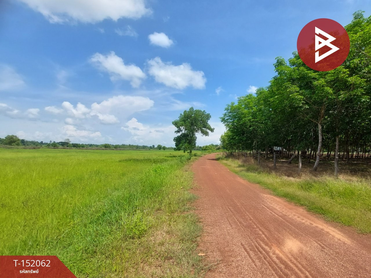 ขายที่ดินที่นา เนื้อที่ 19 ไร่ 1 งาน 33 ตร.วา จอมศรี เพ็ญ อุดรธานี