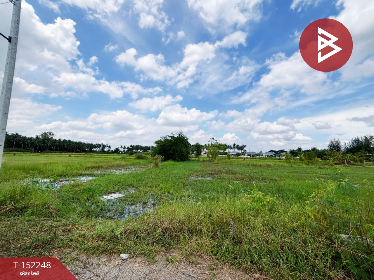 ขายที่ดิน เนื้อที่ 2 งาน 50 ตร.วา เจดีย์หัก ราชบุรี