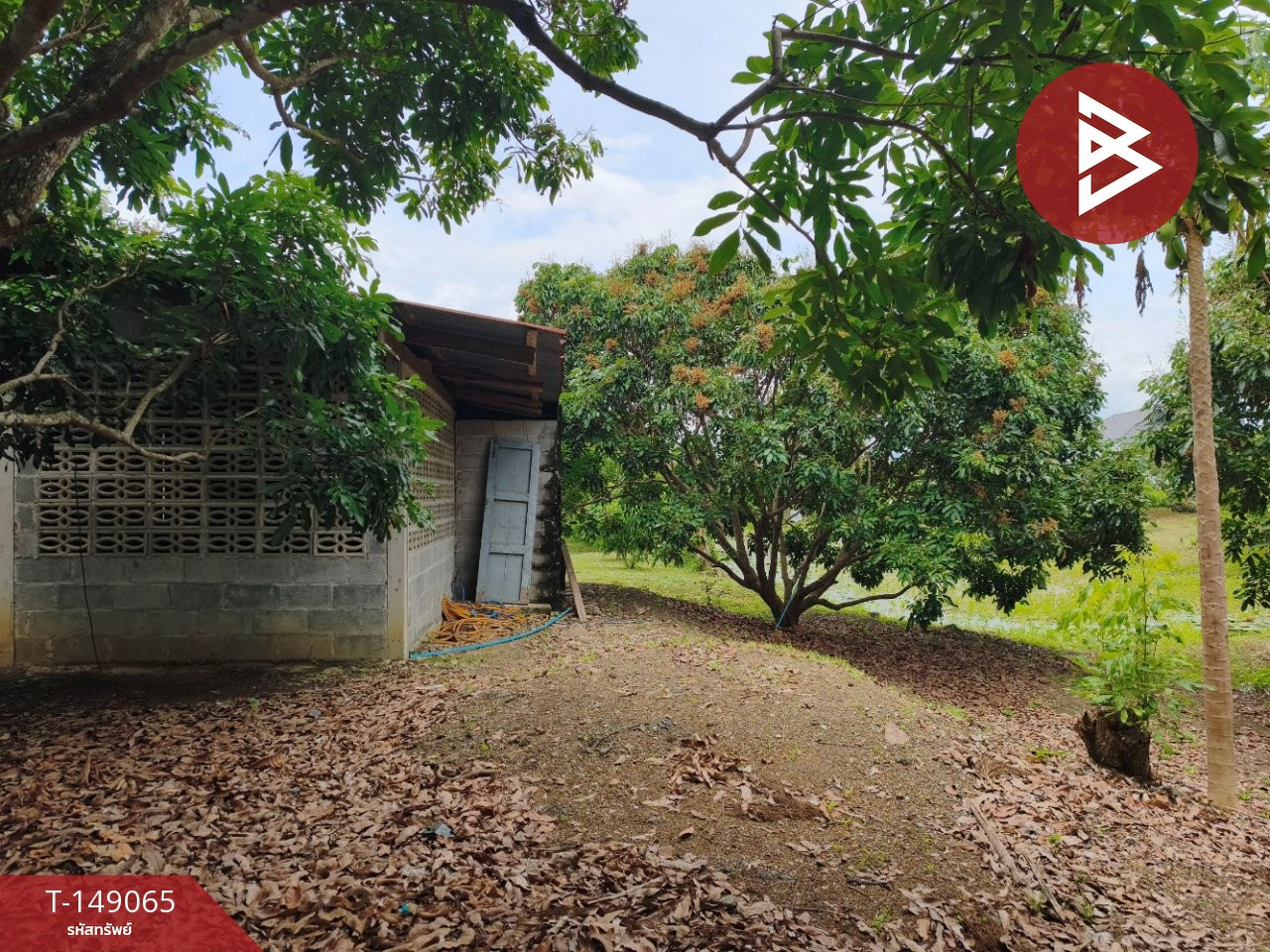 ขายที่ดินสวนลำไยพร้อมบ้านไม้สไตล์รีสอร์ท เนื้อที่ 3 ไร่ 21 ตร.วา จันทบุรี ทำเลดี