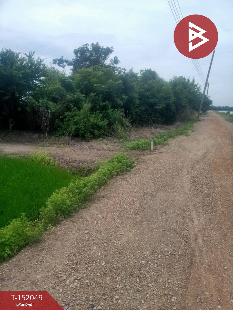 ขายที่ดิน เนื้อที่ 1 ไร่ ราษฎร์นิยม นนทบุรี