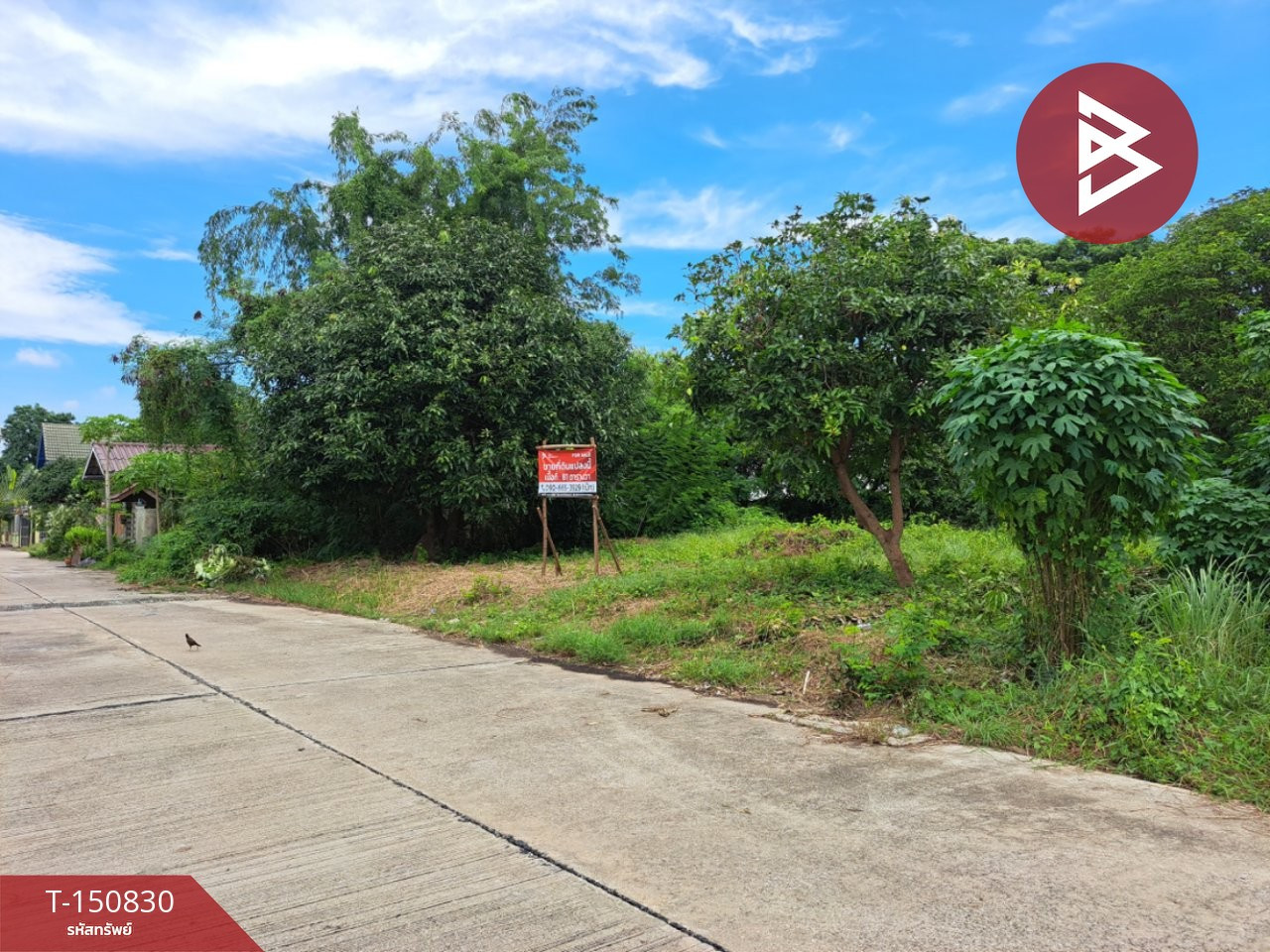 ขายที่ดิน เนื้อที่ 81 ตร.วา พุทธมณฑล นครปฐม ทำเลดี ใกล้เซ็นทรัลศาลายา