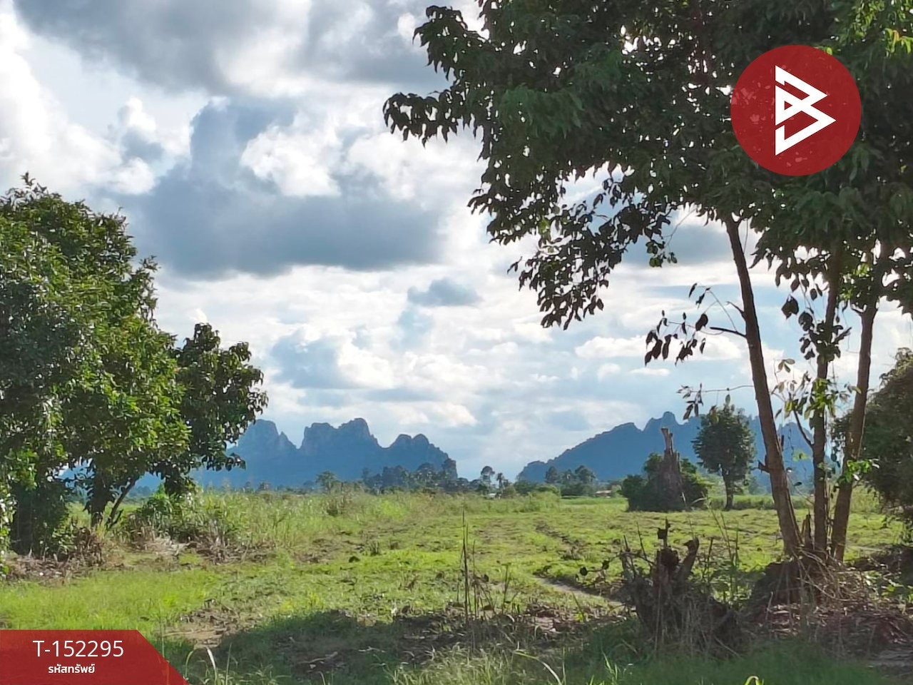 ขายที่ดิน เนื้อที่ 9 ไร่ 14 ตร.วา บรรพตพิสัย นครสวรรค์