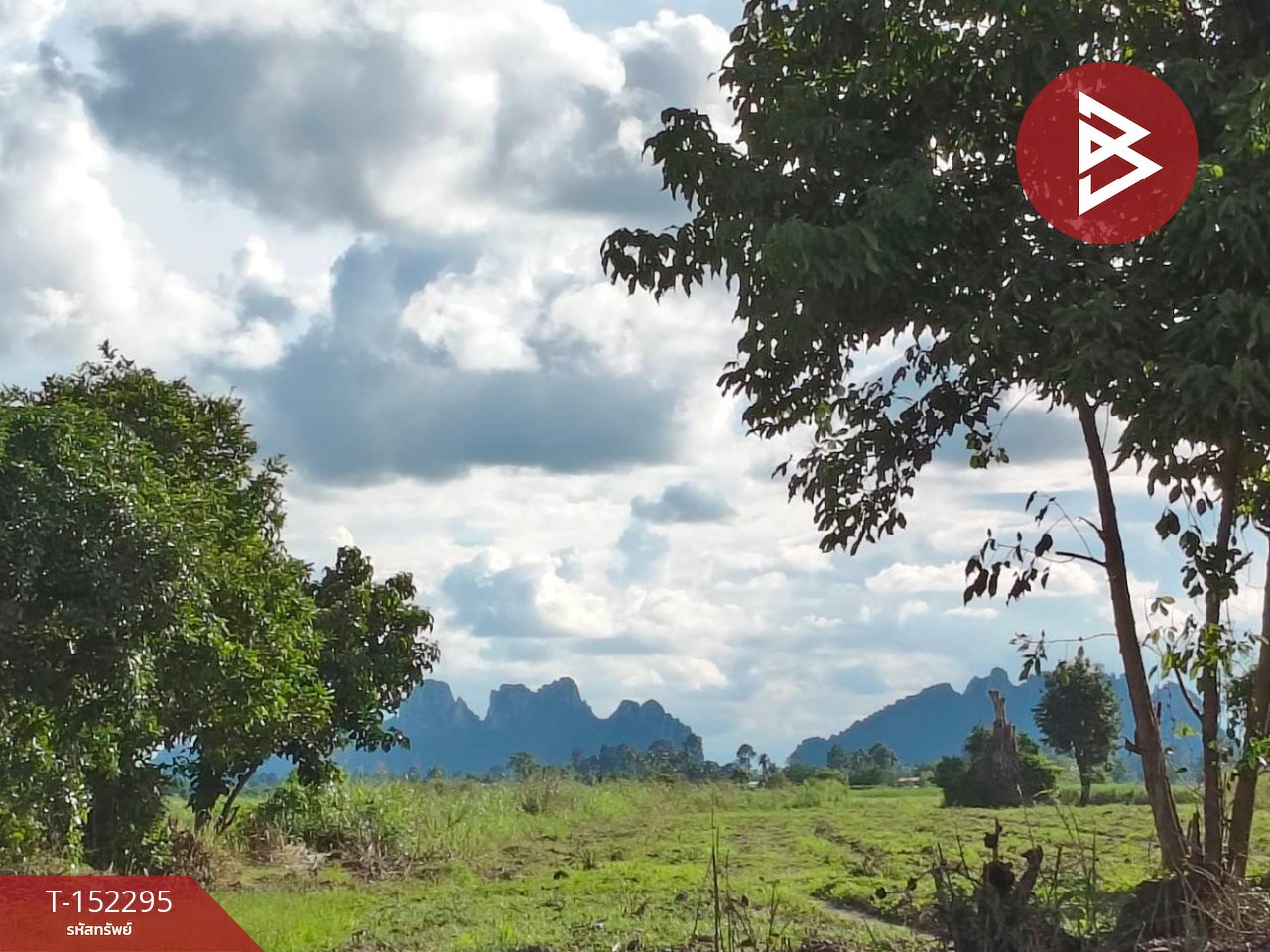 ขายที่ดิน เนื้อที่ 9 ไร่ 14 ตร.วา บรรพตพิสัย นครสวรรค์