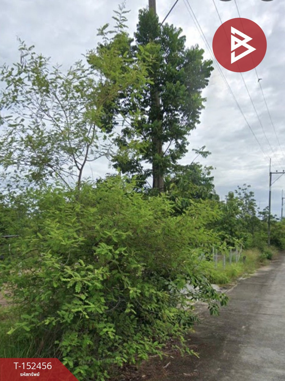 ขายที่ดิน เนื้อที่ 1 งาน 13 ตร.วา บ้านธิ ลำพูน