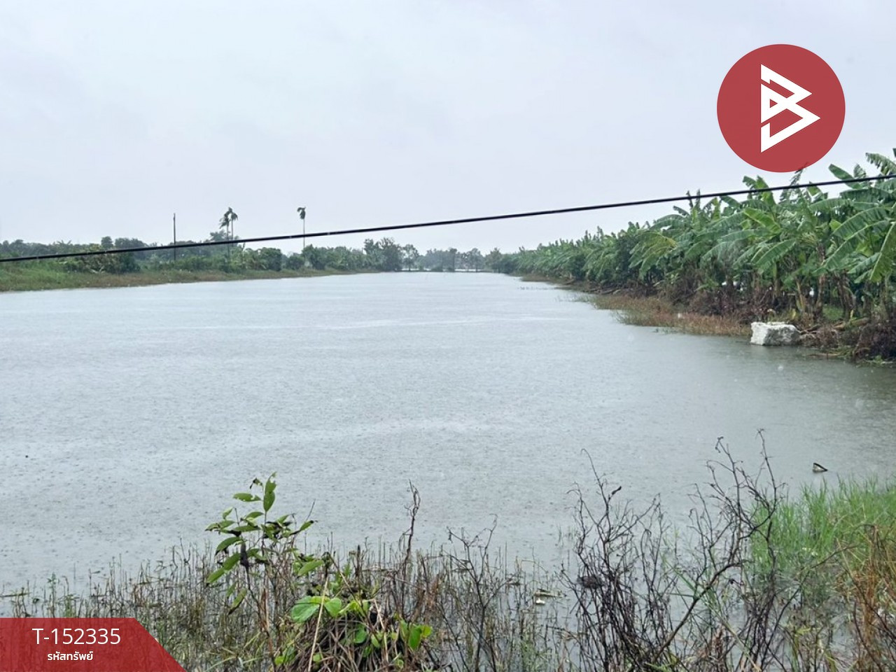 ขายที่ดิน เนื้อที่ 5 ไร่ 3 งาน 83.3 ตร.วา บางเสาธง สมุทรปราการ