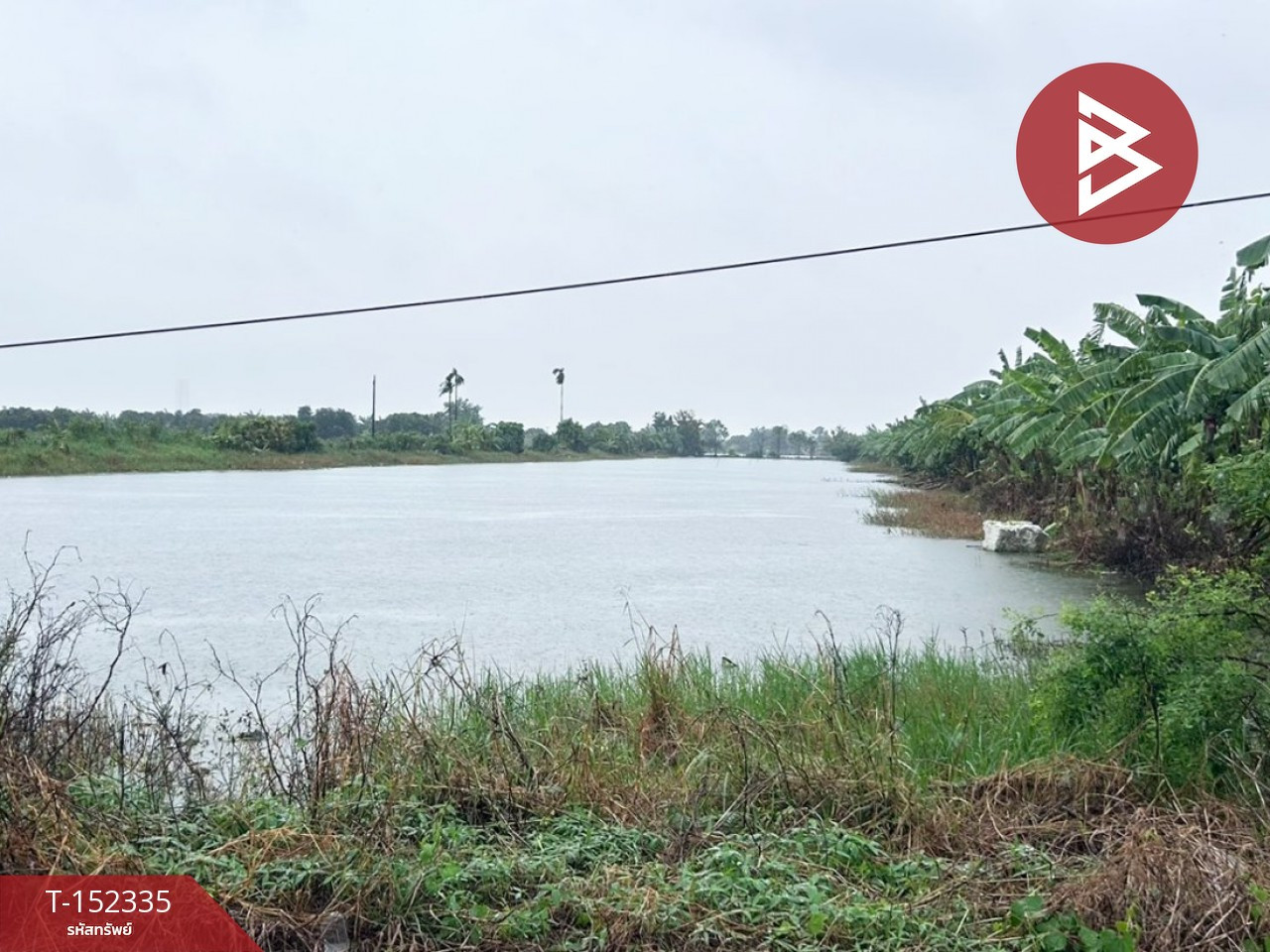 ขายที่ดิน เนื้อที่ 5 ไร่ 3 งาน 83.3 ตร.วา บางเสาธง สมุทรปราการ