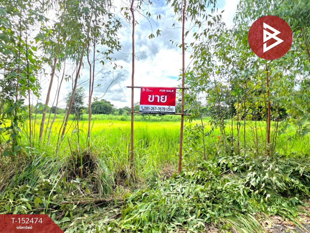 ขายที่ดิน เนื้อที่ 3 ไร่ 17 ตร.วา บรบือ มหาสารคาม