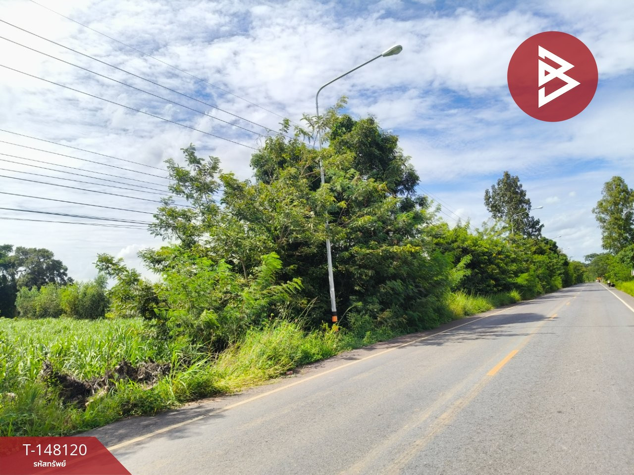 ขายที่ดิน เนื้อที่ 33 ไร่ 1 งาน 63 ตร.วา ประโคนชัย บุรีรัมย์