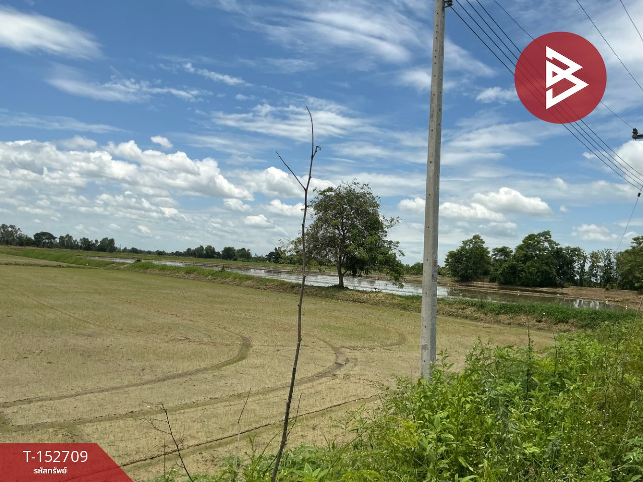 ขายที่ดิน เนื้อที่ 9 ไร่ 2 งาน 58 ตร.วา ลับแล อุตรดิตถ์
