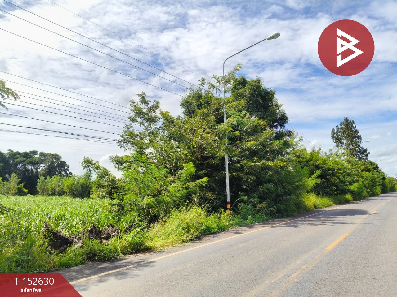 ขายที่ดิน เนื้อที่ 21 ไร่ 3 งาน 89 ตร.วา ประโคนชัย บุรีรัมย์