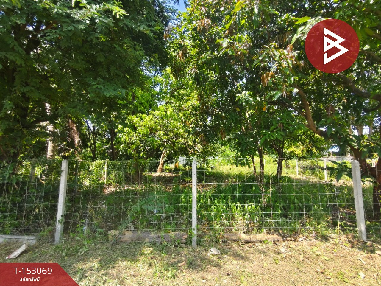 ขายที่ดิน เนื้อที่ 1 งาน อ.บ้านโป่ง จ.ราชบุรี ใกล้ตลาดนัดหุบกระทิง