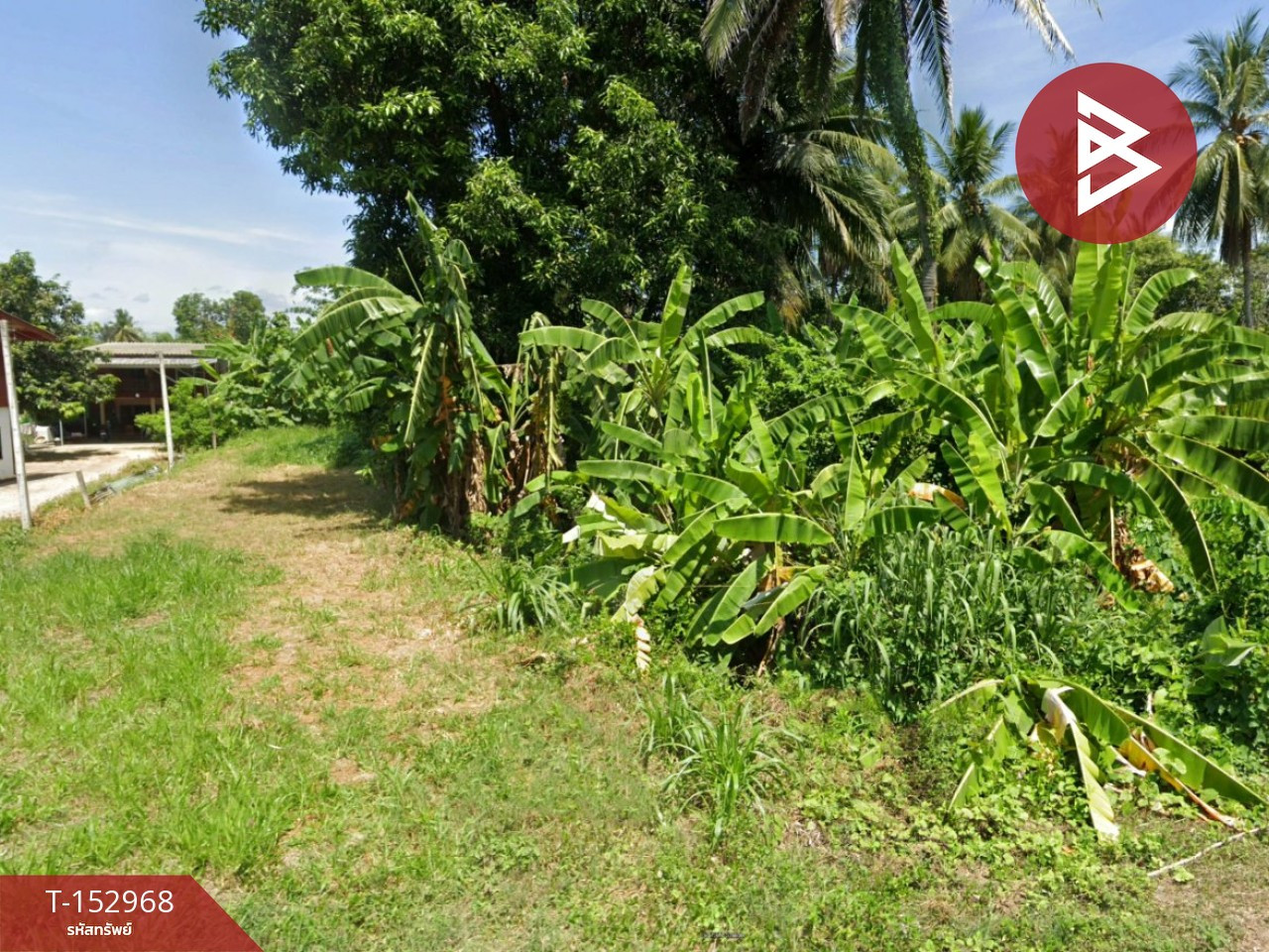 ขายที่ดิน เนื้อที่ 2 งาน 59.2 ตร.วา บ้านตาก ตาก