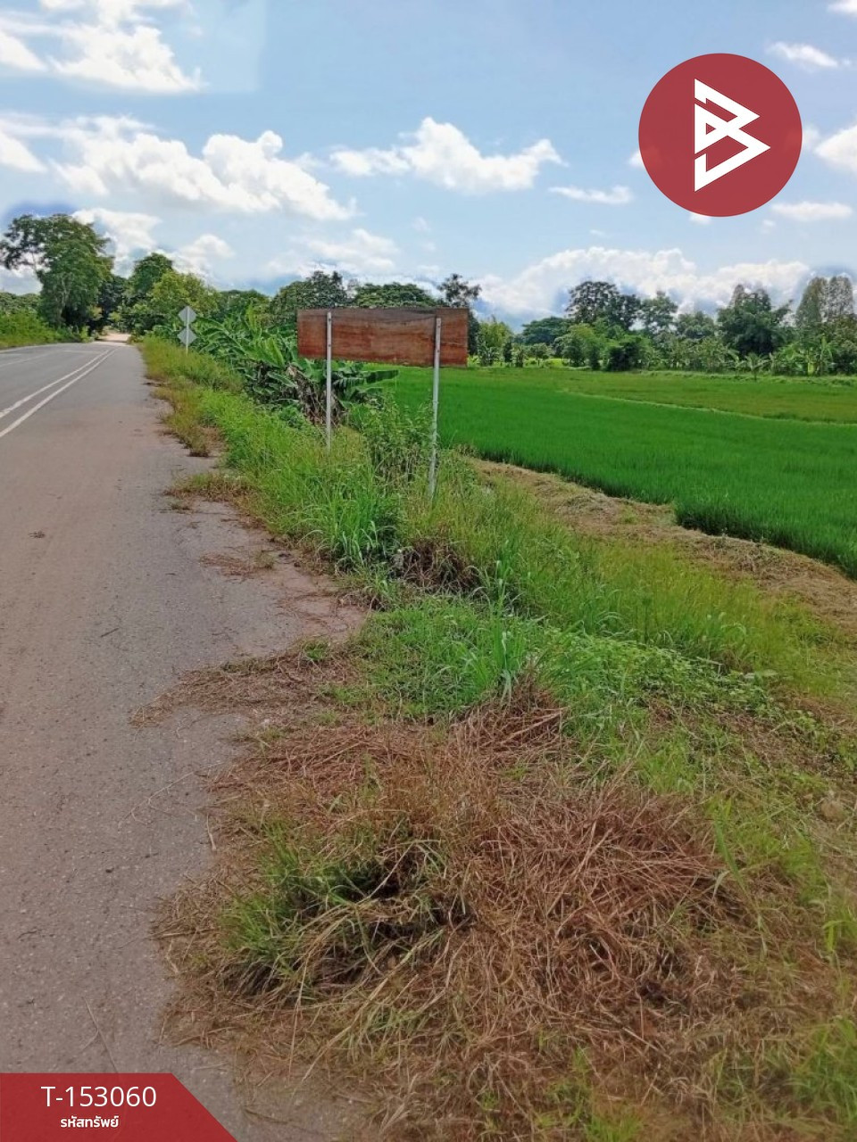 ขายที่ดิน เนื้อที่ 5 ไร่ 3 งาน 27.4 ตร.วา คอนสาร ชัยภูมิ