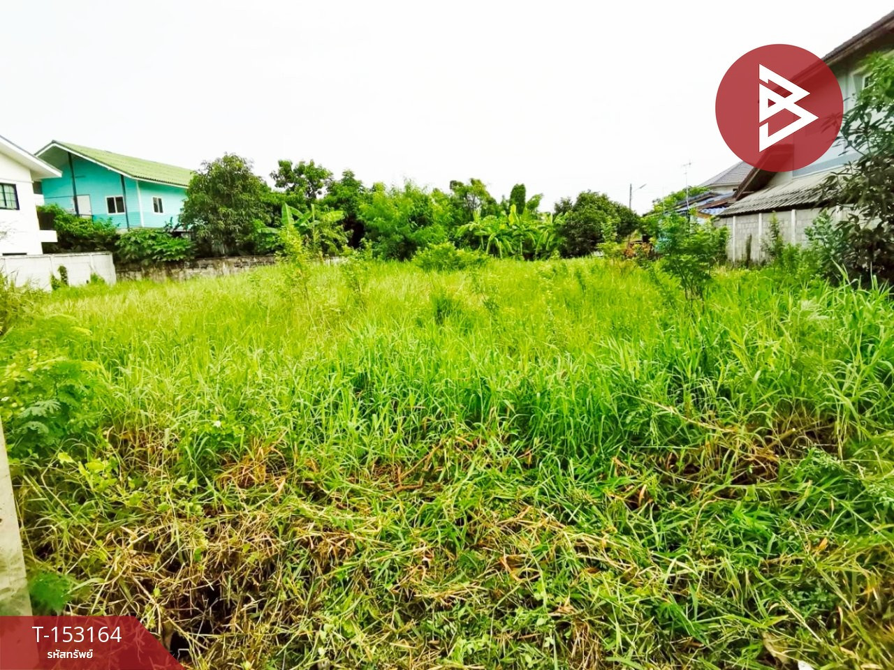 ขายที่ดิน เนื้อที่ 69 ตร.วา พุทธมณฑล นครปฐม