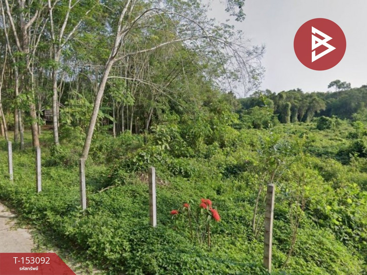 ขายที่ดิน เนื้อที่ 10 ไร่ 2 งาน 49.5 ตร.วา แกลง ระยอง