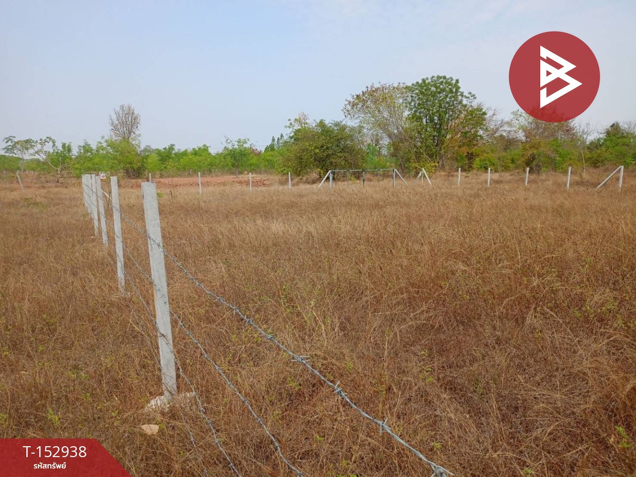 ขายที่ดิน เนื้อที่ 1 งาน 50 ตร.วา บ้านหว้า ขอนแก่น