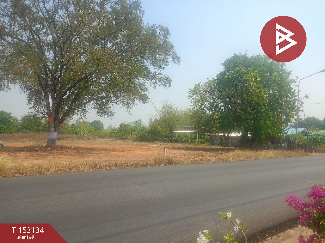 ขายที่ดิน เนื้อที่ 1 งาน 97 ตร.วา น้ำพอง ขอนแก่น