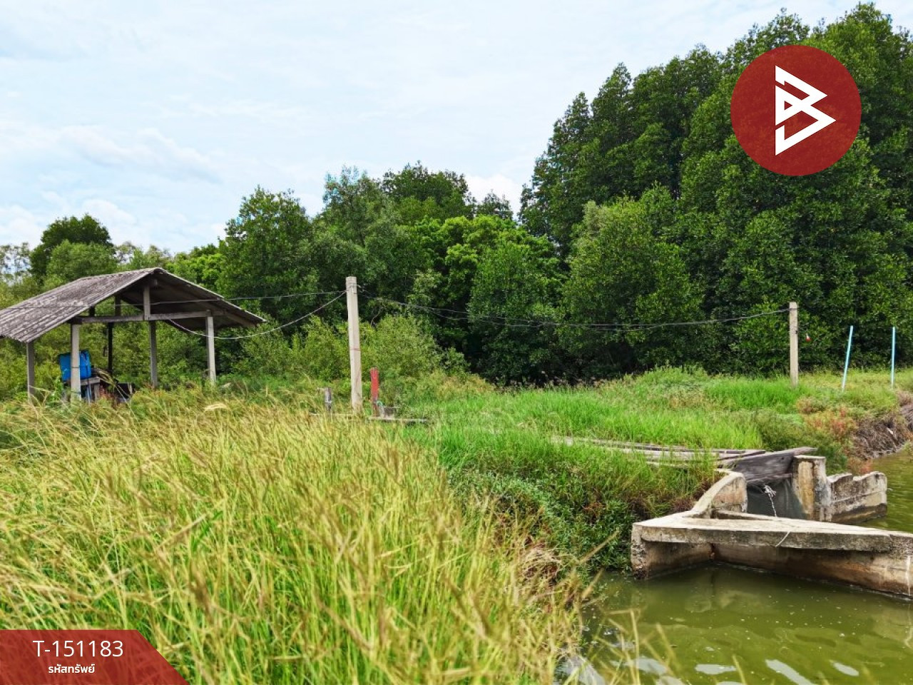 ขายที่ดิน เนื้อที่ 59 ไร่ 3 งาน 85 ตร.วา บ้านแหลม เพชรบุรี