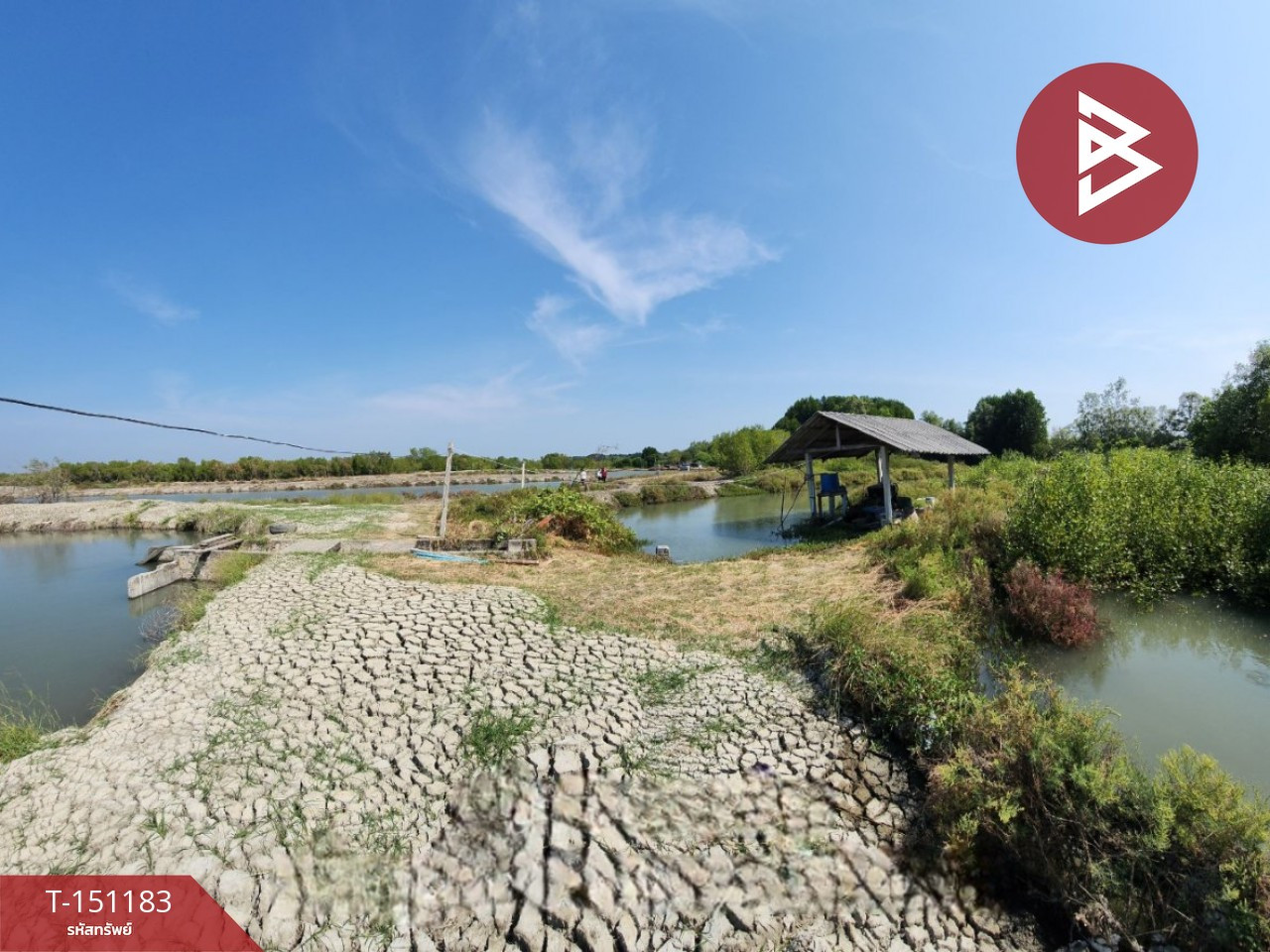 ขายที่ดิน เนื้อที่ 59 ไร่ 3 งาน 85 ตร.วา บ้านแหลม เพชรบุรี