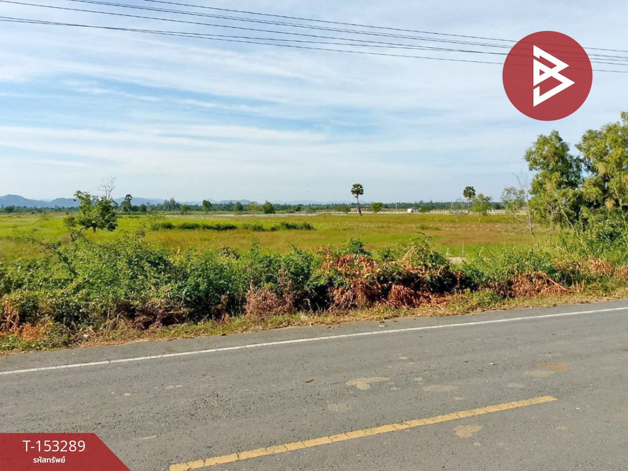 ขายด่วนที่ดิน เนื้อที่ 8 ไร่ กุยบุรี ประจวบคีรีขันธ์ ติดถนน วิวเขา บรรยากาศดี