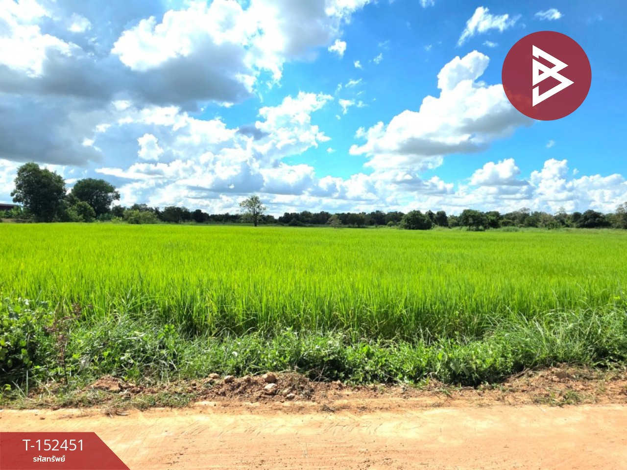 ขายที่ดิน เนื้อที่ 5 ไร่ 1 งาน 53.4 ตร.วา บรบือ มหาสารคาม
