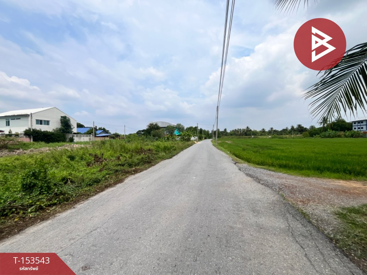 ขายที่ดิน เนื้อที่ 1 งาน 12 ตร.วา สามพราน นครปฐม