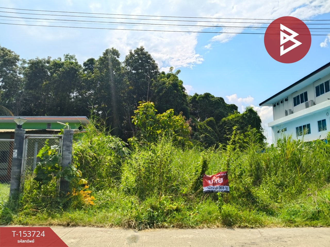 ขายที่ดิน เนื้อที่ 1 ไร่ 2 งาน 12.1 ตร.วา หัวทะเล นครราชสีมา