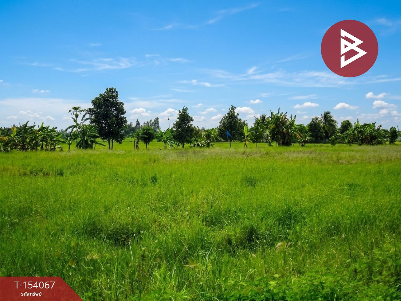 ขายที่ดิน เนื้อที่ 6 ไร่ 90.6 ตร.วา ท่าม่วง กาญจนบุรี