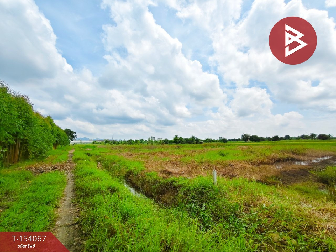 ขายที่ดิน เนื้อที่ 6 ไร่ 90.6 ตร.วา ท่าม่วง กาญจนบุรี