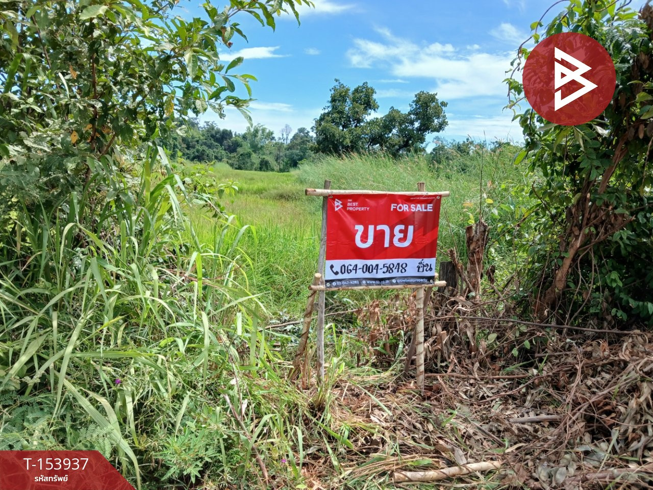 ขายที่ดิน เนื้อที่ 23 ไร่ 53 ตร.วา หนองญาติ นครพนม