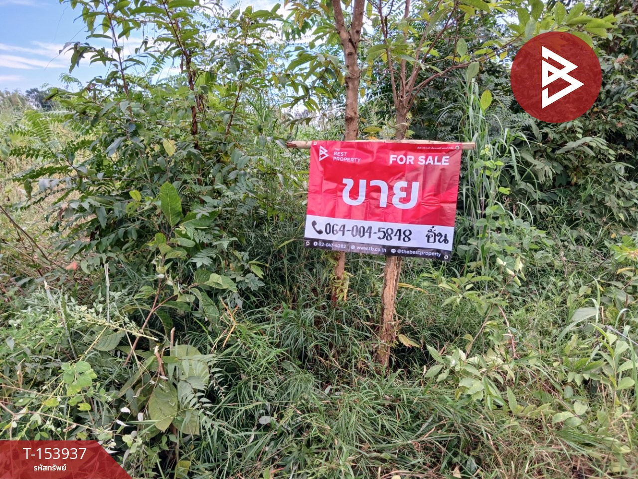 ขายที่ดิน เนื้อที่ 23 ไร่ 53 ตร.วา หนองญาติ นครพนม