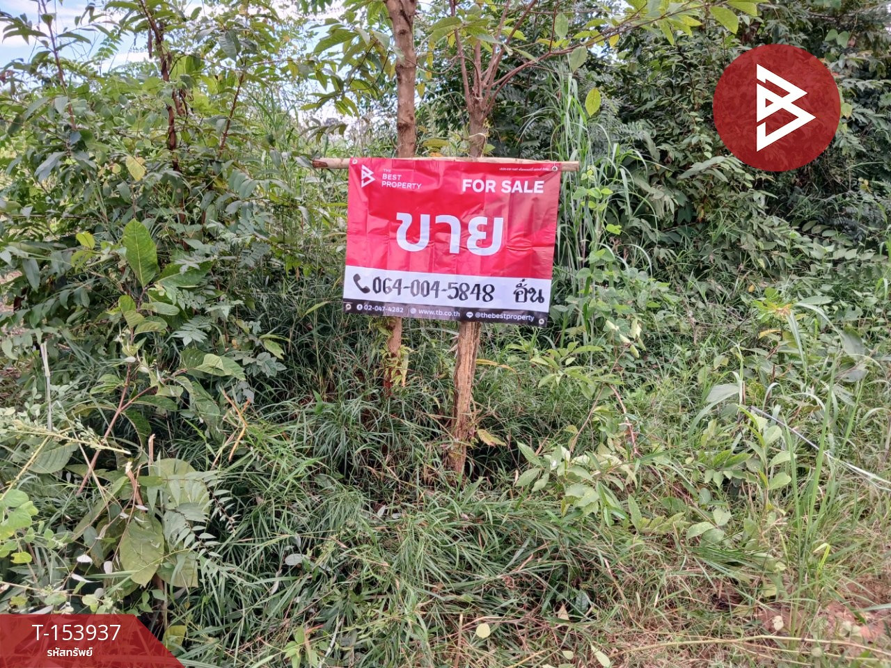 ขายที่ดิน เนื้อที่ 23 ไร่ 53 ตร.วา หนองญาติ นครพนม