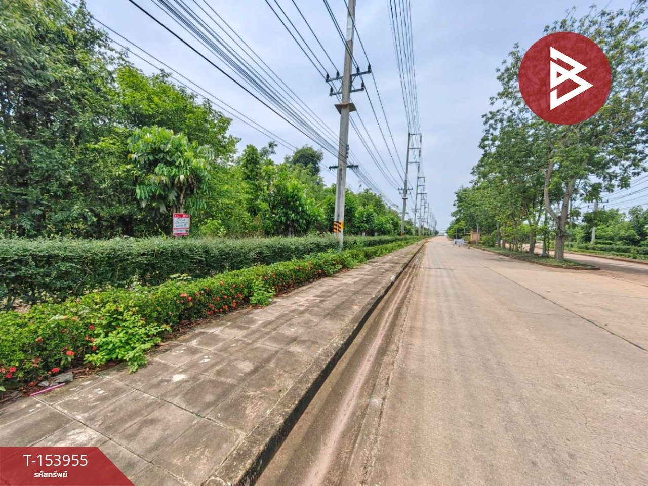 ขายที่ดินแปลงสวย เนื้อที่ 6 ไร่ 2 งาน 73 ตารางวา กบินทร์บุรี ปราจีนบุรี ใกล้นิคมอุตสาหกรรมไฮเทค